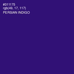 #311175 - Persian Indigo Color Image