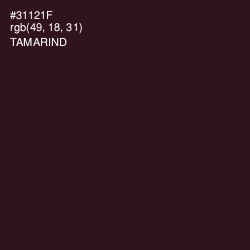 #31121F - Tamarind Color Image