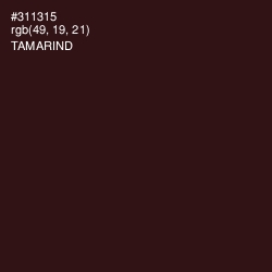 #311315 - Tamarind Color Image