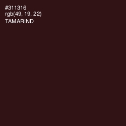 #311316 - Tamarind Color Image