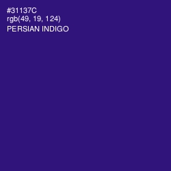 #31137C - Persian Indigo Color Image