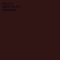 #311414 - Tamarind Color Image