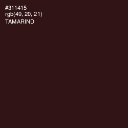 #311415 - Tamarind Color Image