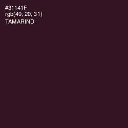 #31141F - Tamarind Color Image