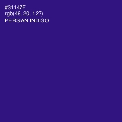 #31147F - Persian Indigo Color Image