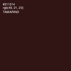 #311514 - Tamarind Color Image