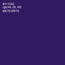 #311C62 - Meteorite Color Image