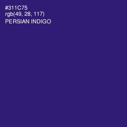#311C75 - Persian Indigo Color Image