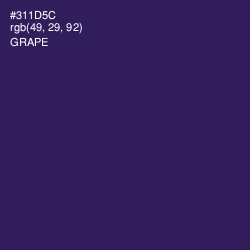 #311D5C - Grape Color Image