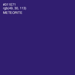 #311E71 - Meteorite Color Image