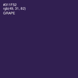 #311F52 - Grape Color Image