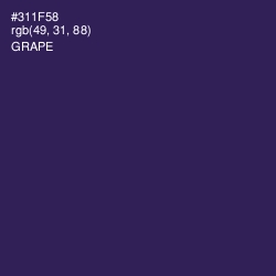 #311F58 - Grape Color Image