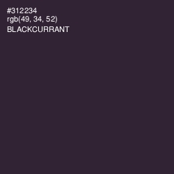 #312234 - Blackcurrant Color Image
