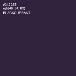 #31223E - Blackcurrant Color Image