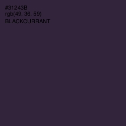 #31243B - Blackcurrant Color Image