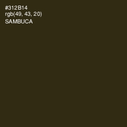 #312B14 - Sambuca Color Image