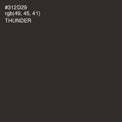 #312D29 - Thunder Color Image