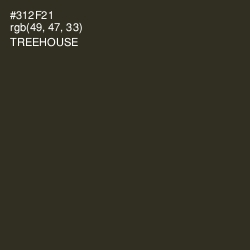 #312F21 - Treehouse Color Image
