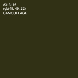 #313116 - Camouflage Color Image