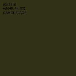 #313116 - Camouflage Color Image