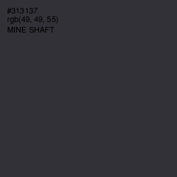 #313137 - Mine Shaft Color Image