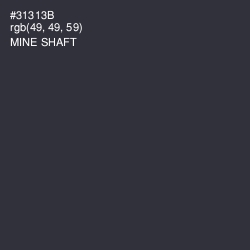 #31313B - Mine Shaft Color Image