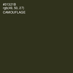 #31321B - Camouflage Color Image