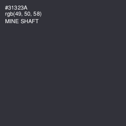 #31323A - Mine Shaft Color Image