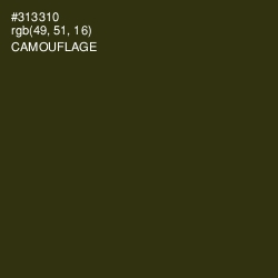 #313310 - Camouflage Color Image