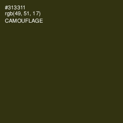 #313311 - Camouflage Color Image