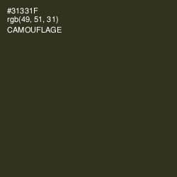 #31331F - Camouflage Color Image