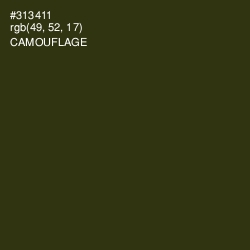 #313411 - Camouflage Color Image