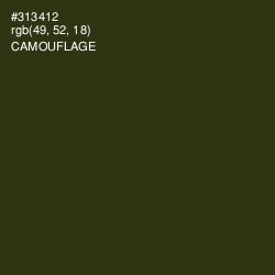 #313412 - Camouflage Color Image