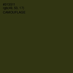 #313511 - Camouflage Color Image