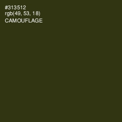 #313512 - Camouflage Color Image