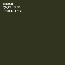 #31351F - Camouflage Color Image