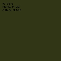 #313616 - Camouflage Color Image