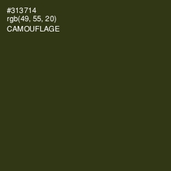 #313714 - Camouflage Color Image