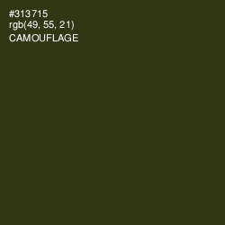 #313715 - Camouflage Color Image