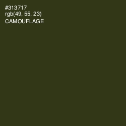 #313717 - Camouflage Color Image