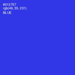 #3137E7 - Blue Color Image