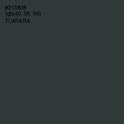 #313838 - Tuatara Color Image