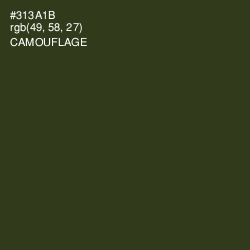 #313A1B - Camouflage Color Image