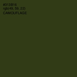 #313B16 - Camouflage Color Image