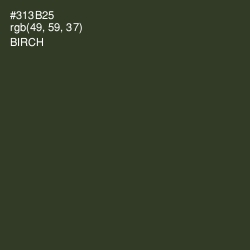 #313B25 - Birch Color Image