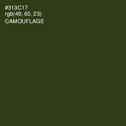 #313C17 - Camouflage Color Image