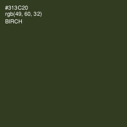 #313C20 - Birch Color Image