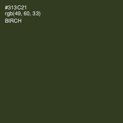 #313C21 - Birch Color Image