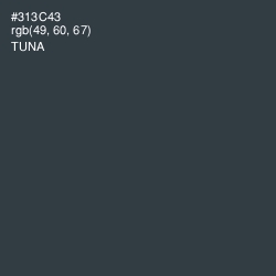 #313C43 - Tuna Color Image