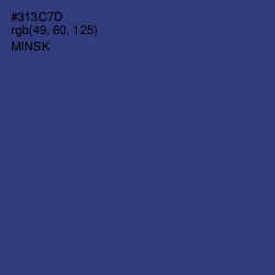 #313C7D - Minsk Color Image